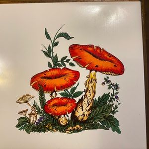 Awesome Vintage Mushroom Trivet
